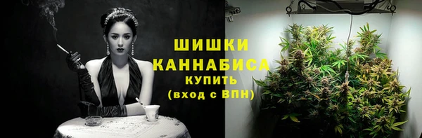 ешки Алзамай