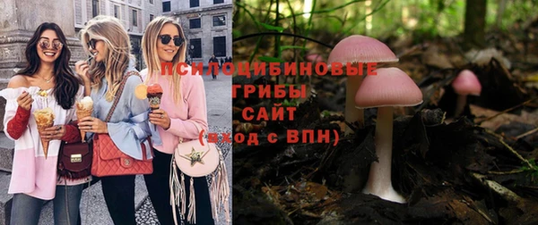 ешки Алзамай