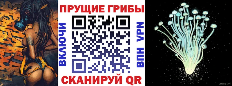 ссылка на мегу ссылка  нарко площадка состав  Галлюциногенные грибы GOLDEN TEACHER  Арсеньев 